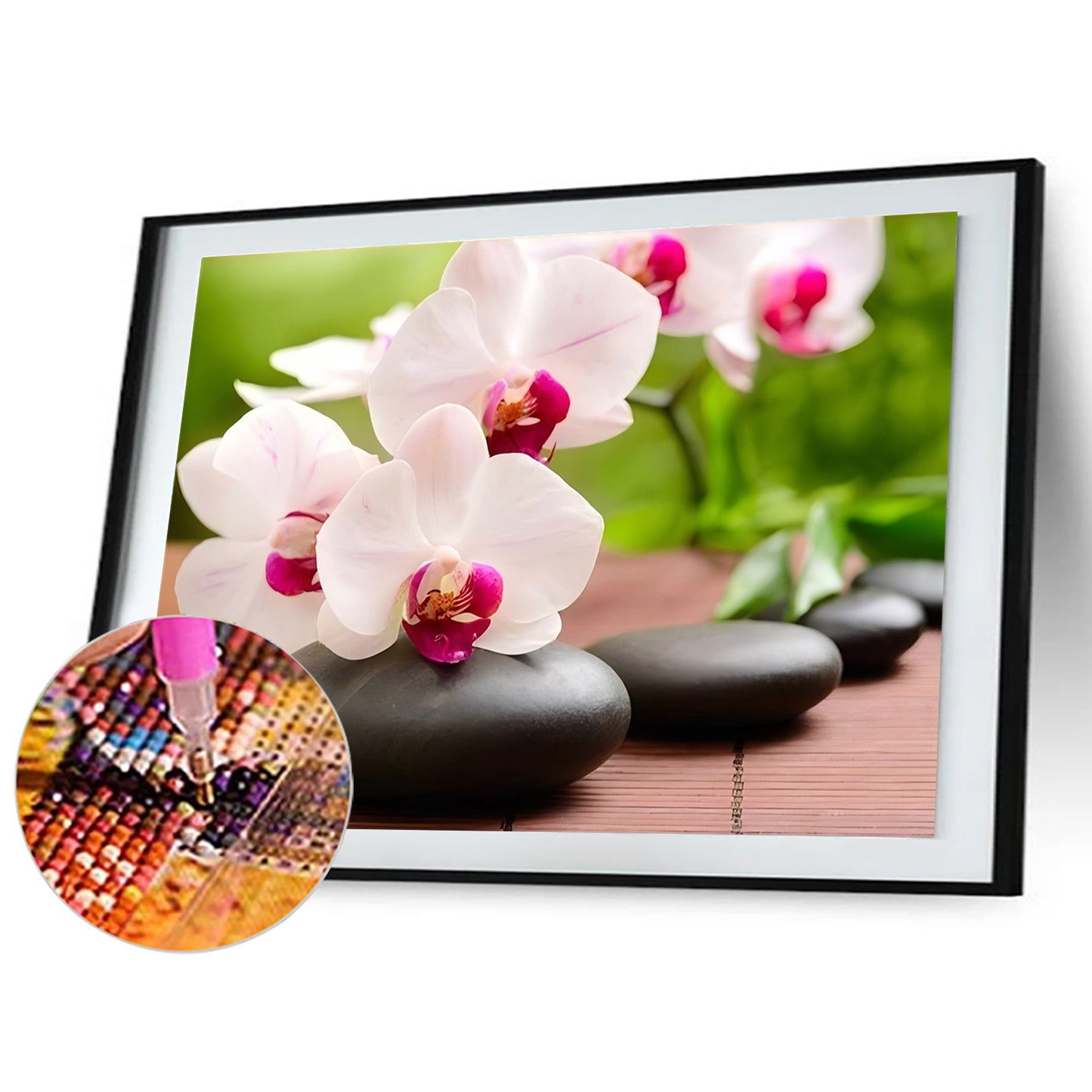 Phalaenopsis Orchid - Full Round Drill Diamond Painting 40*30CM