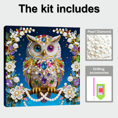 Owls - DIY Pearl Gem Art Diamond Painting Kits With Framefor Home Decor -25x25cm