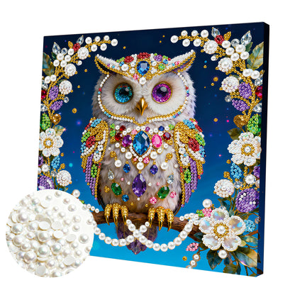 Owls - DIY Pearl Gem Art Diamond Painting Kits With Framefor Home Decor -25x25cm