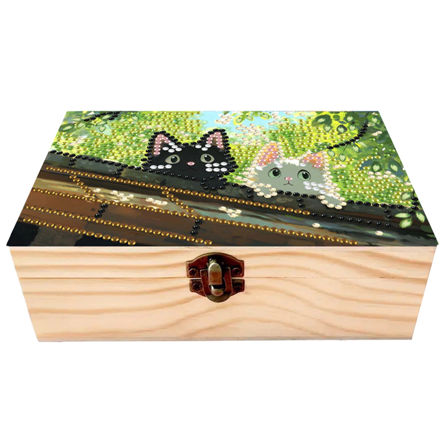 Black and White Cat DIY Wooden 5D Diamond Art Diamond Art Storage Box for Adults