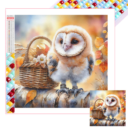 Owl - Full Square Drill Diamond Painting 30*30CM