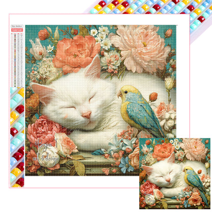 Kitty - Full Square Drill Diamond Painting 30*30CM