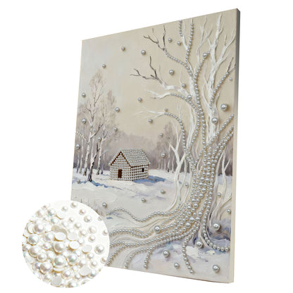 Snowy Ground - DIY Pearl Gem Art Diamond Painting Kits With Framefor Home Decor -30x40cm