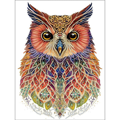 Ethnic Style Owl - Special Shaped Drill Diamond Painting 30*40CM