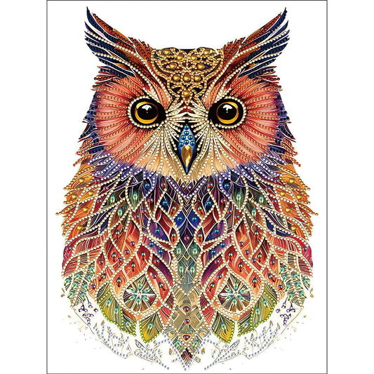 Ethnic Style Owl - Special Shaped Drill Diamond Painting 30*40CM