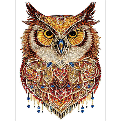 Ethnic Style Owl - Special Shaped Drill Diamond Painting 30*40CM