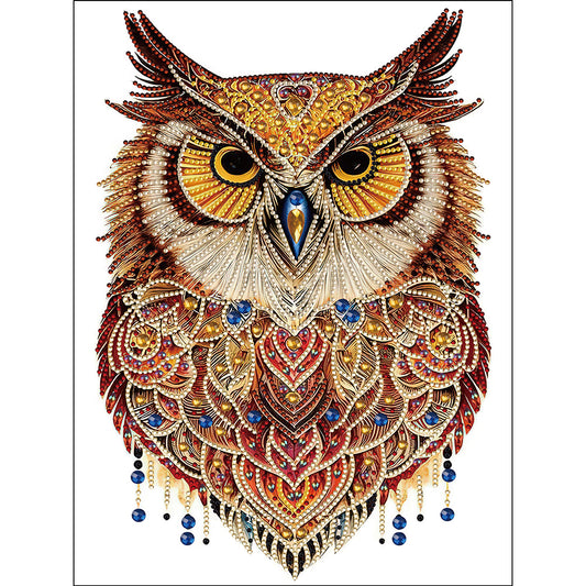 Ethnic Style Owl - Special Shaped Drill Diamond Painting 30*40CM