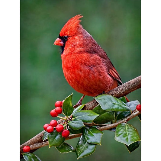 Nordic Cardinal - Full Round Drill Diamond Painting 30*40CM