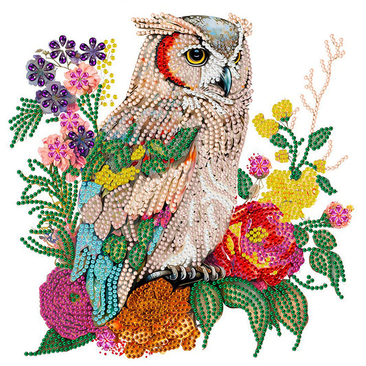Owl -  Special Shaped Drill Diamond Painting 30*30CM