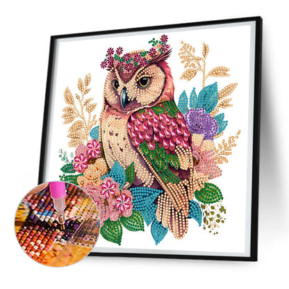 Owl -  Special Shaped Drill Diamond Painting 30*30CM