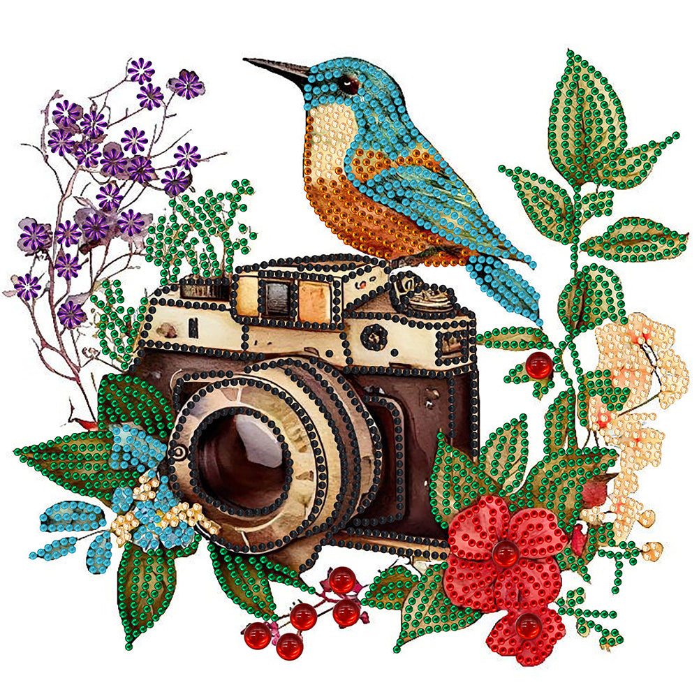 Flowers And Camera -  Special Shaped Drill Diamond Painting 30*30CM