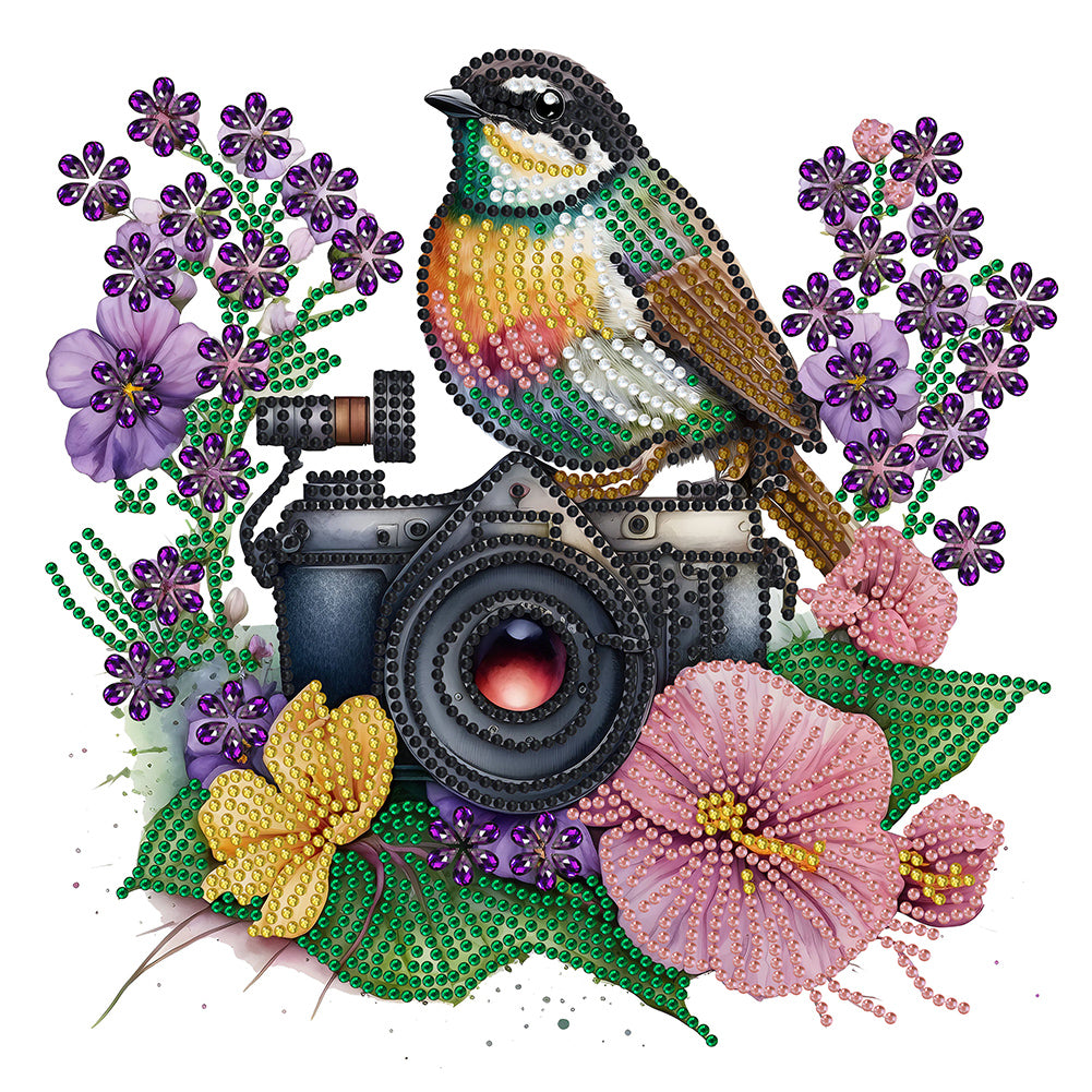 Flowers And Camera -  Special Shaped Drill Diamond Painting 30*30CM