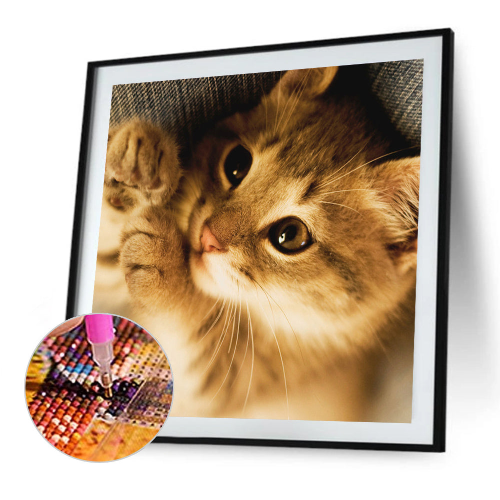 Cat Cat - Full Square Drill Diamond Painting 50*50CM