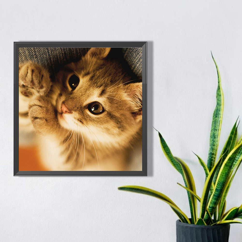 Cat Cat - Full Square Drill Diamond Painting 50*50CM