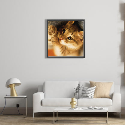 Cat Cat - Full Square Drill Diamond Painting 50*50CM