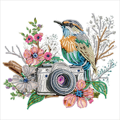 Camera -   Special Shaped Drill Diamond Painting 30*30CM