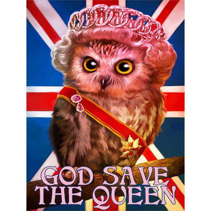 Louie Owl - Full Round Drill Diamond Painting 30*40CM