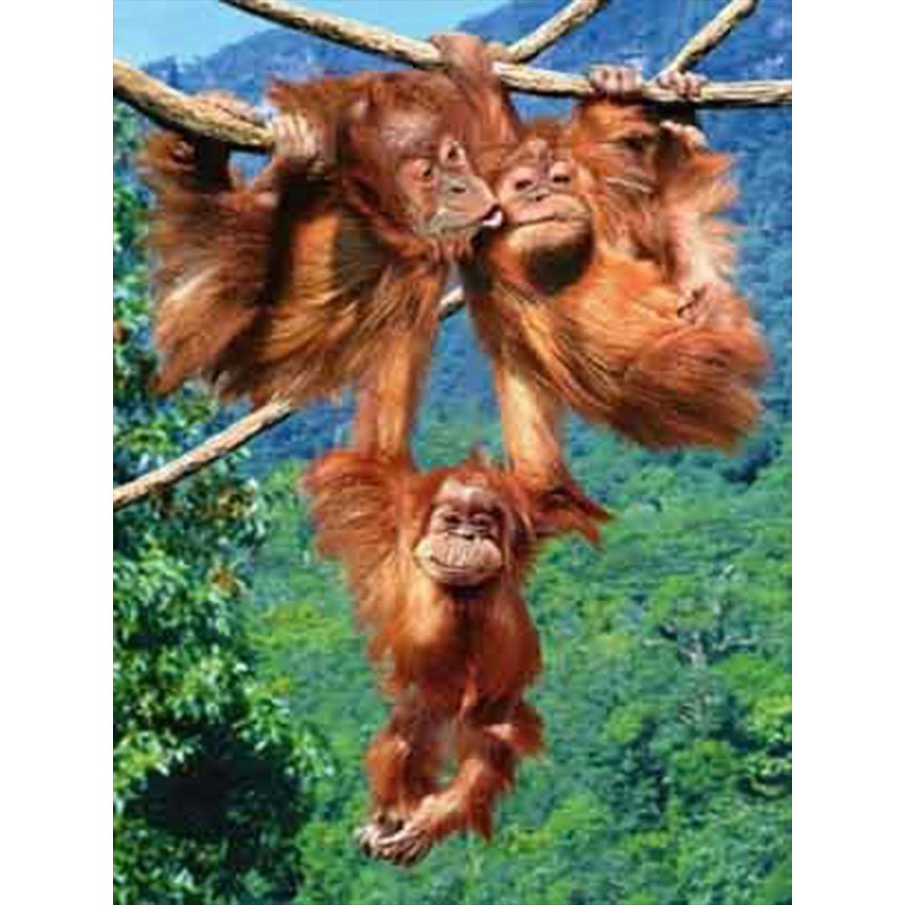 Monkey Paradise - Full Round Drill Diamond Painting 30*40CM