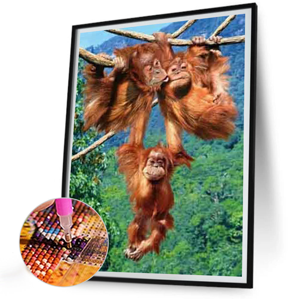 Monkey Paradise - Full Round Drill Diamond Painting 30*40CM