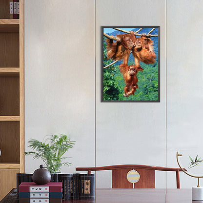 Monkey Paradise - Full Round Drill Diamond Painting 30*40CM