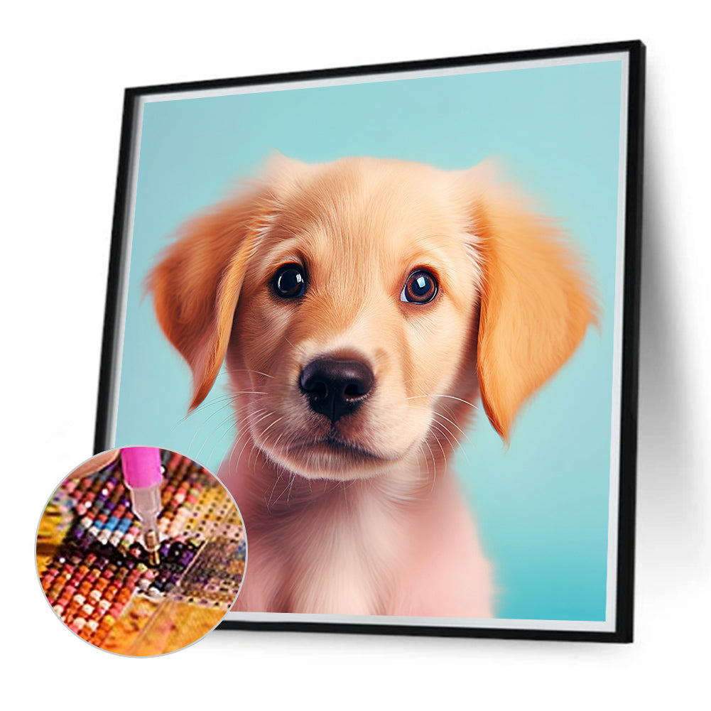 Pet Puppy - Full Round Drill Diamond Painting 40*40CM