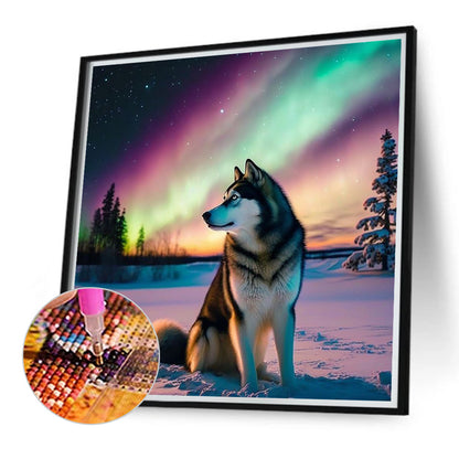 Aurora Snowwolf - Full Round Drill Diamond Painting 40*40CM