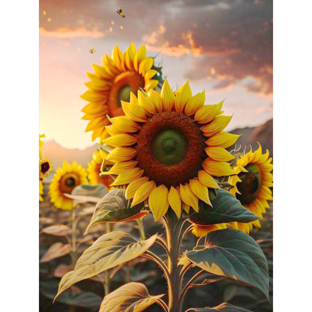 Sunflower - Full Square Drill Diamond Painting 30*40CM