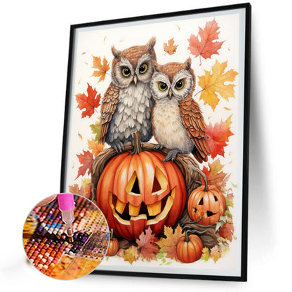 Owl On Pumpkin - Full Round Drill Diamond Painting 40*50CM