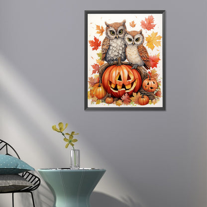 Owl On Pumpkin - Full Round Drill Diamond Painting 40*50CM