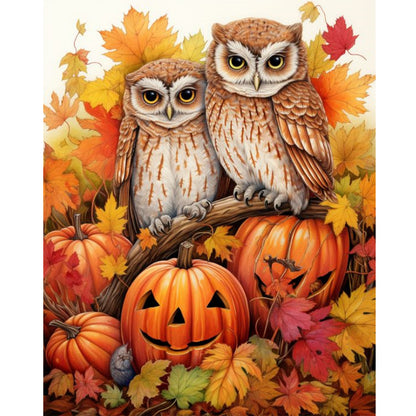 Owl On Pumpkin - Full Round Drill Diamond Painting 40*50CM