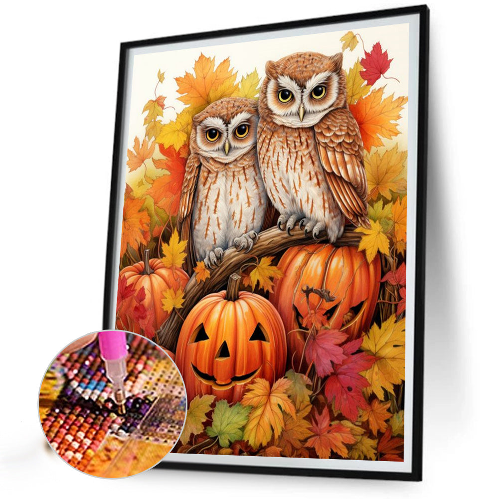 Owl On Pumpkin - Full Round Drill Diamond Painting 40*50CM