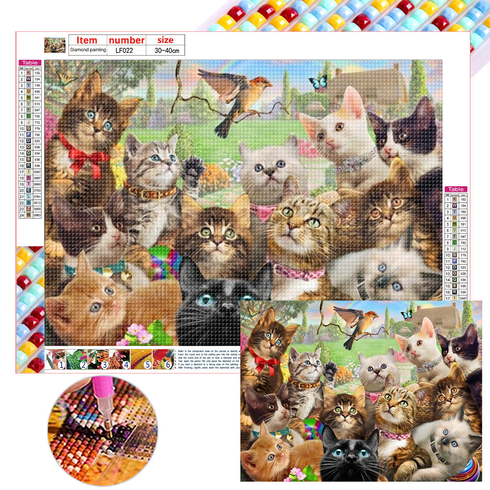 Cat Party - Full Square Drill Diamond Painting 40*30CM