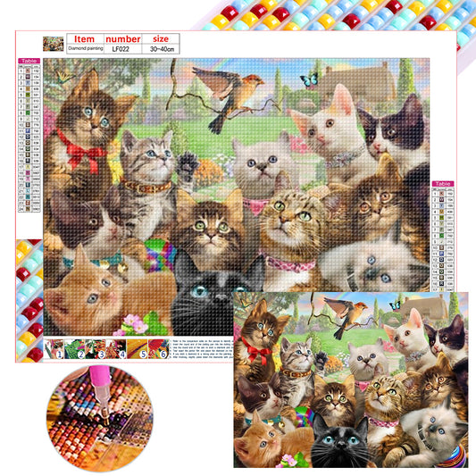 Cat Party - Full Square Drill Diamond Painting 40*30CM