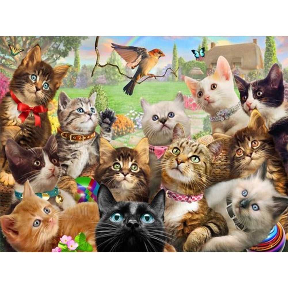 Cat Party - Full Square Drill Diamond Painting 40*30CM