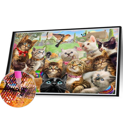 Cat Party - Full Square Drill Diamond Painting 40*30CM