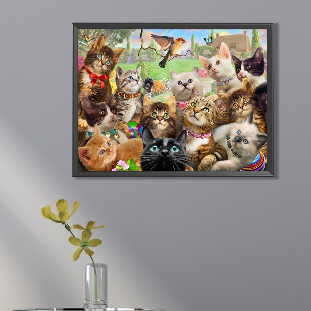 Cat Party - Full Square Drill Diamond Painting 40*30CM