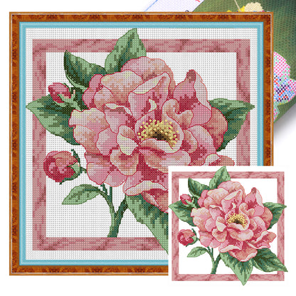 Peonies In Bloom - 14CT Stamped Cross Stitch 26*26CM(Joy Sunday)