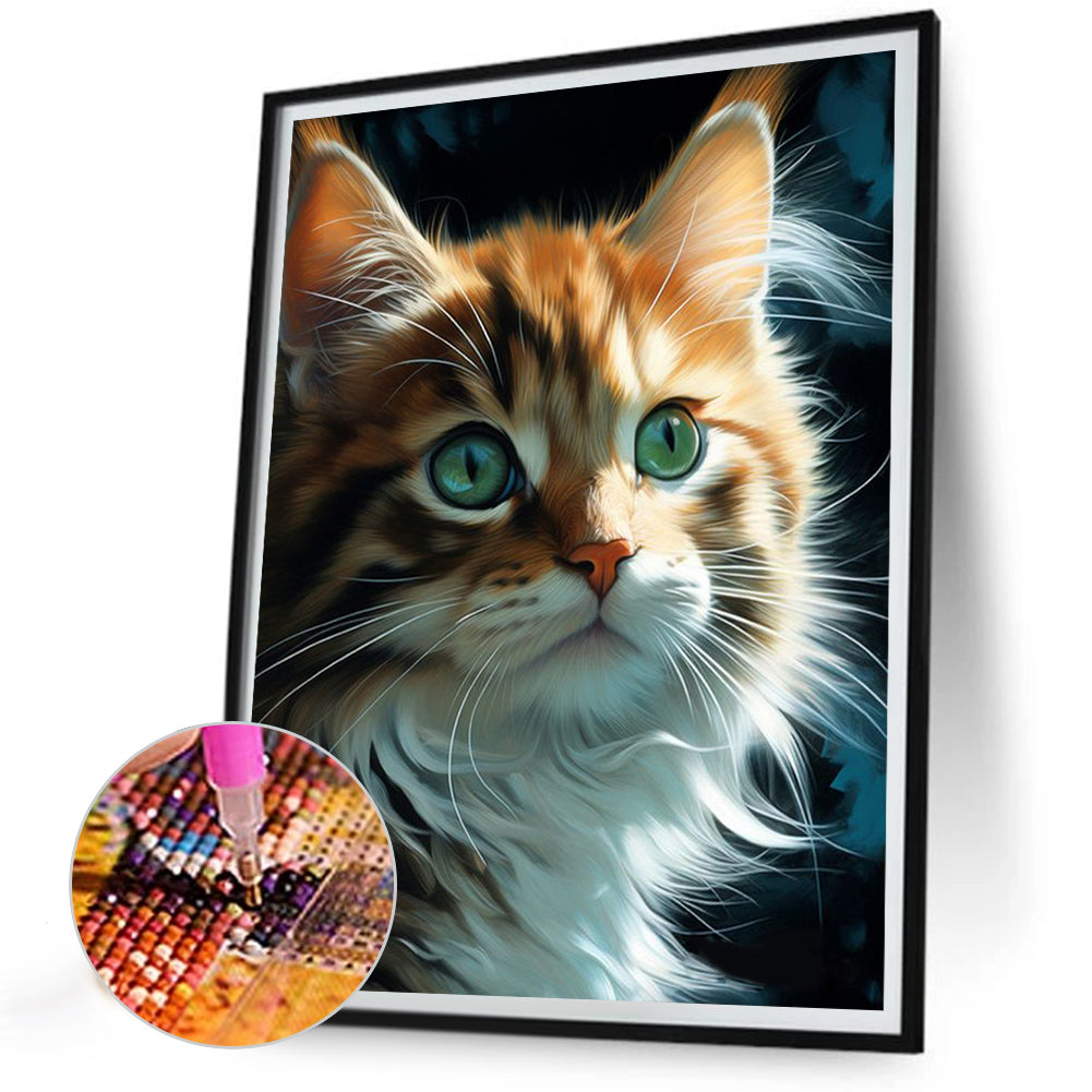 Cat - Full AB Dril Square Diamond Painting 30*40CM