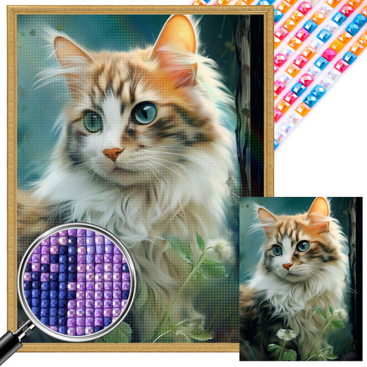 Cat - Full AB Dril Square Diamond Painting 30*40CM