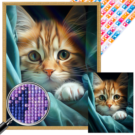 Cat - Full AB Dril Square Diamond Painting 30*40CM