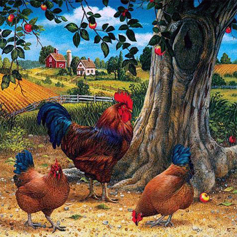 Farm Chicken - Full AB Dril Round Diamond Painting 40*40CM