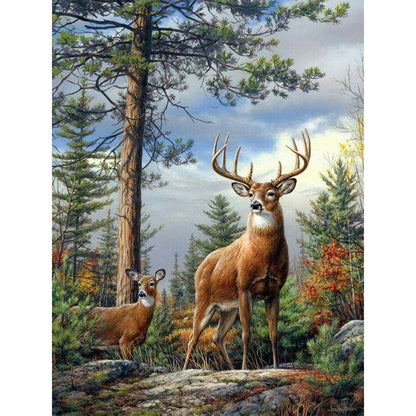 Elk In Winter - 11CT Stamped Cross Stitch 45*60CM