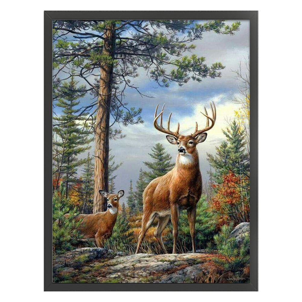 Elk In Winter - 11CT Stamped Cross Stitch 45*60CM