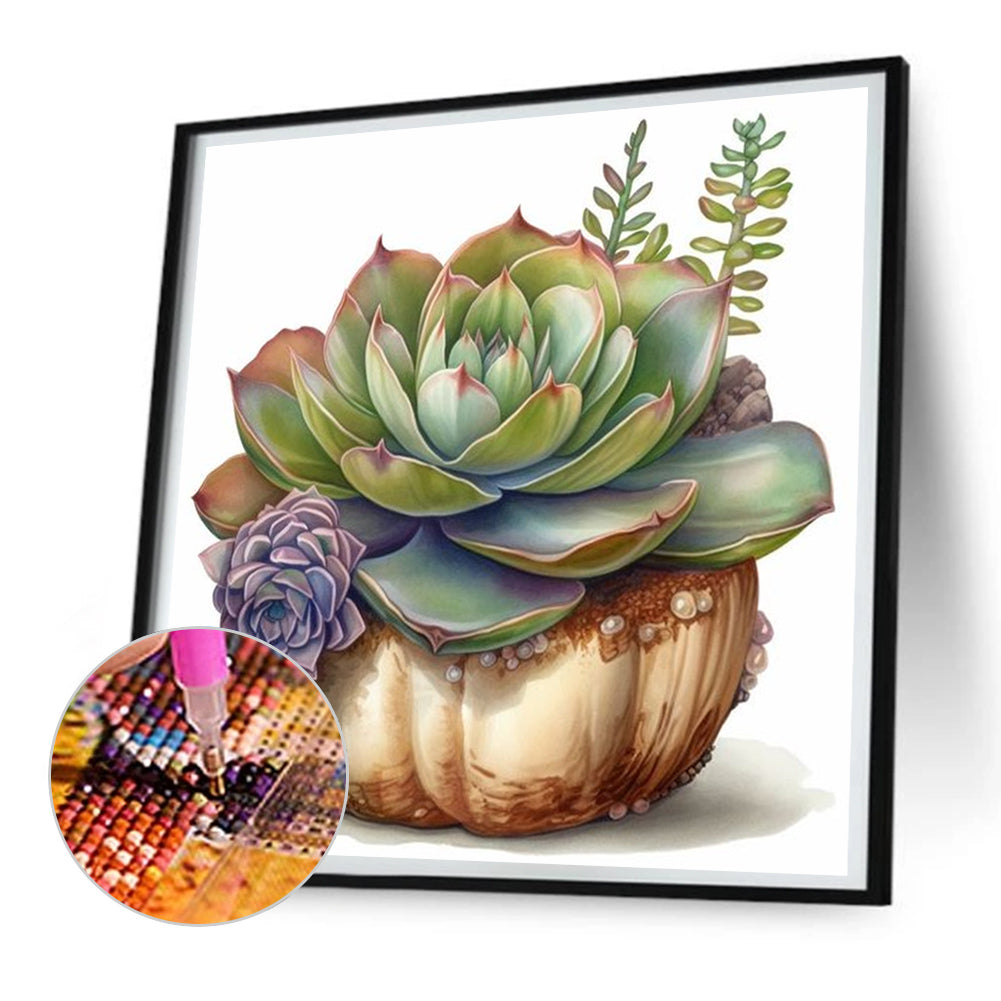 Succulent Plants - Full Round Drill Diamond Painting 30*30CM