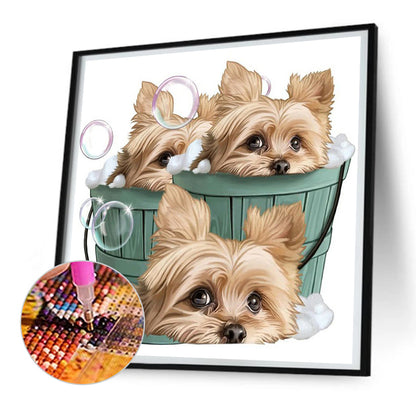 Cute Puppy - Full Round Drill Diamond Painting 30*30CM