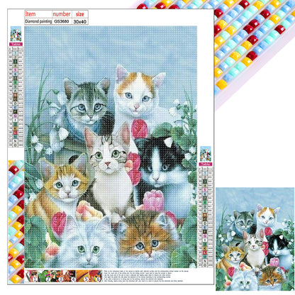 Cat - Full Square Drill Diamond Painting 30*40CM