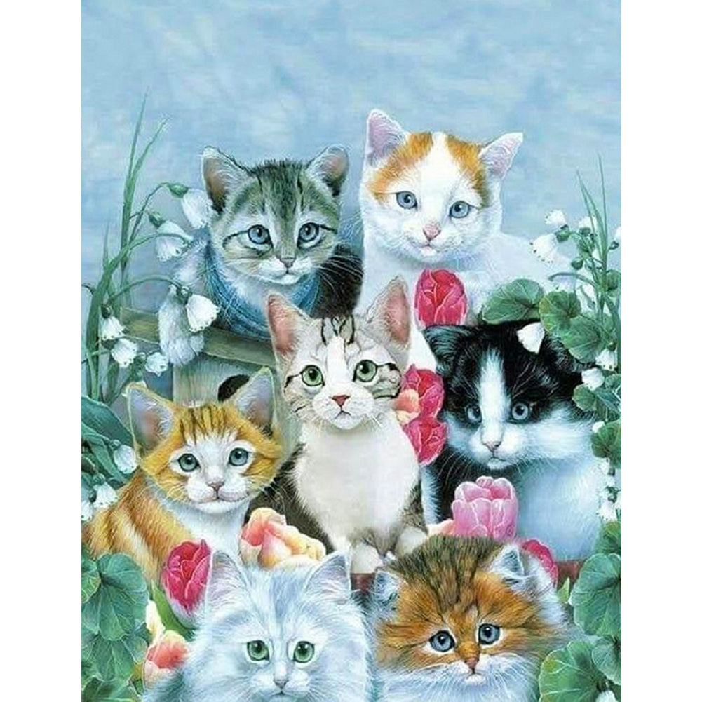 Cat - Full Square Drill Diamond Painting 30*40CM