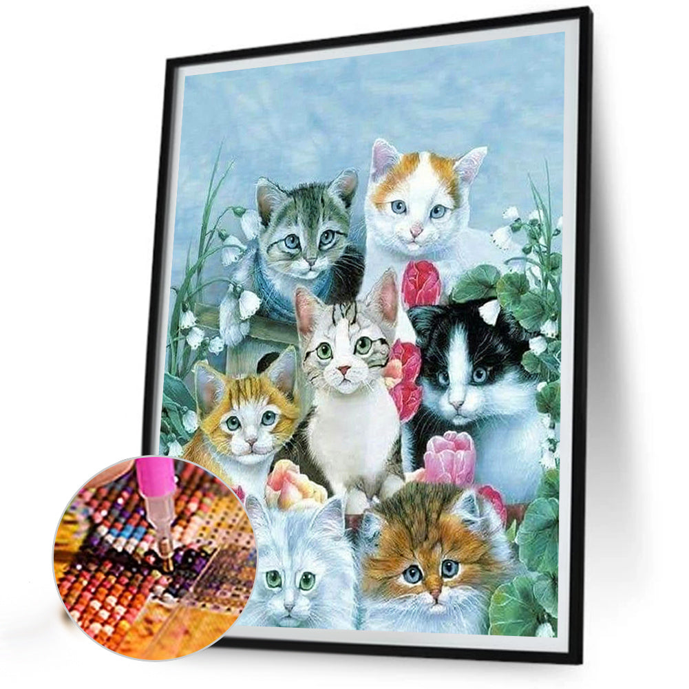 Cat - Full Square Drill Diamond Painting 30*40CM