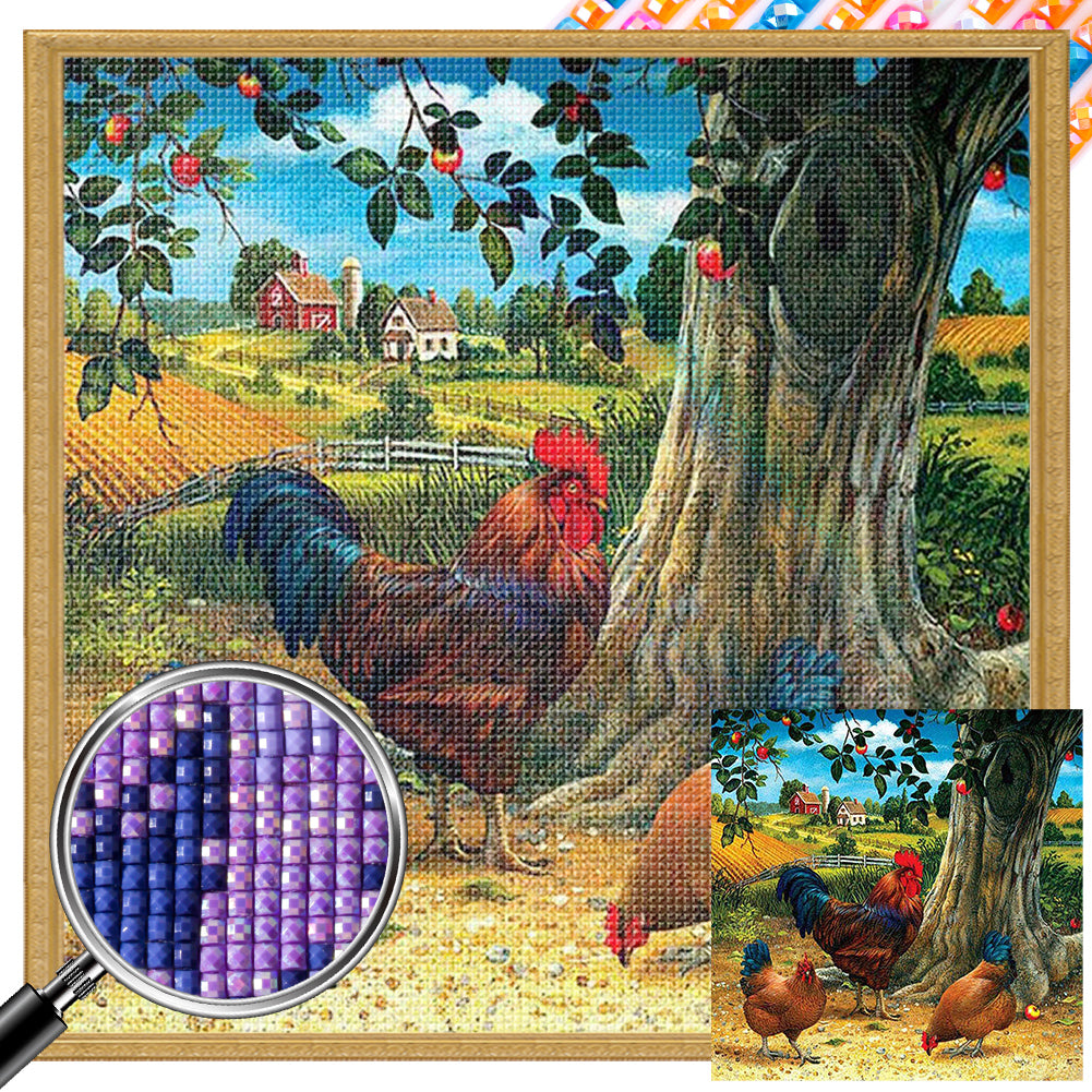 Farm Rooster - Full AB Dril Square Diamond Painting 40*40CM