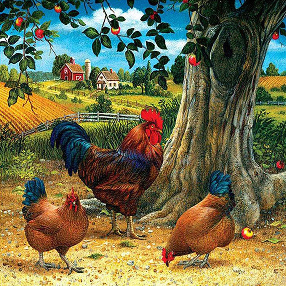 Farm Rooster - Full AB Dril Square Diamond Painting 40*40CM